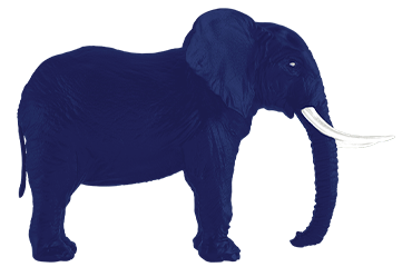 elephant_bleu