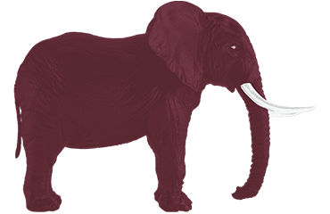 elephant_rouge